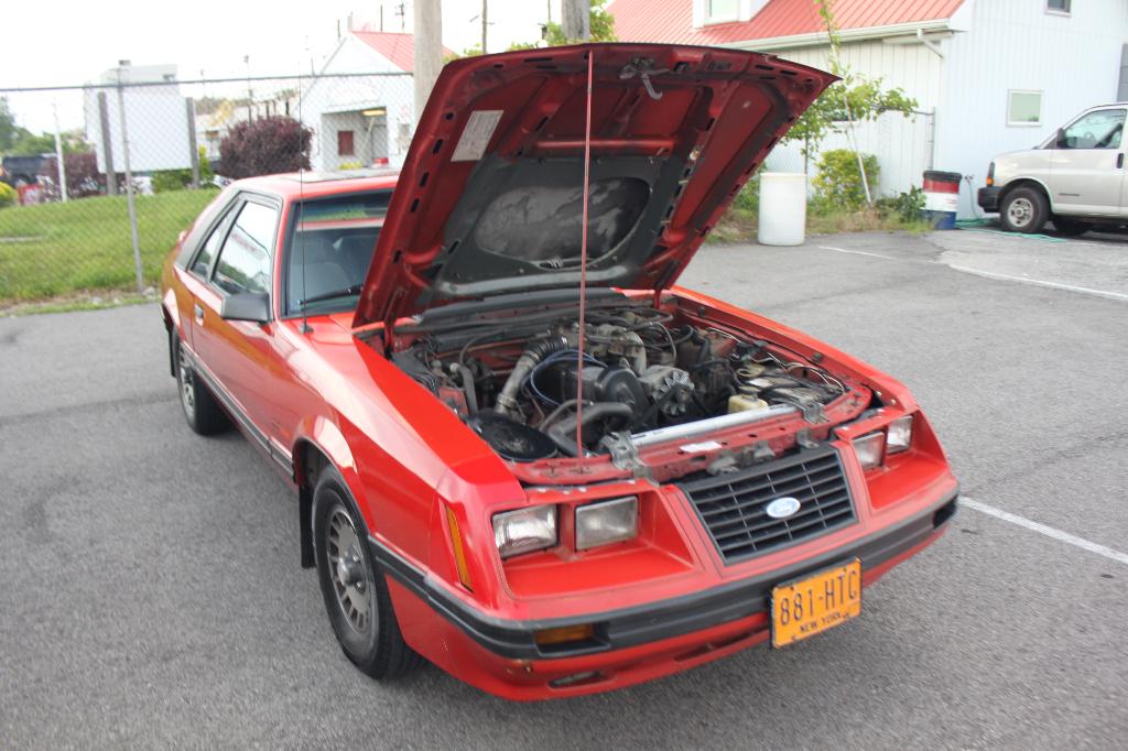 2010 Shredd & Ragan Cruise Night: Image 2