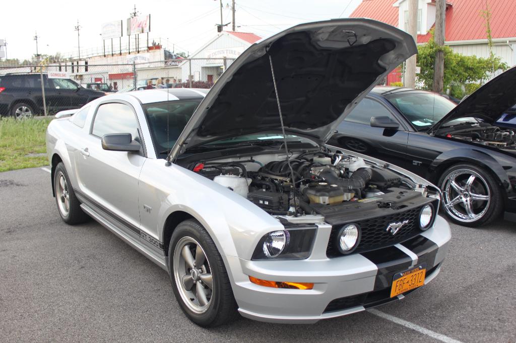 2010 Shredd & Ragan Cruise Night: Image 6
