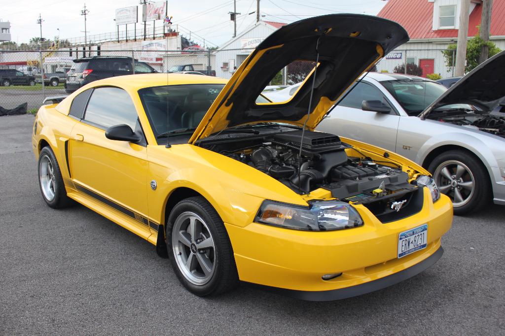 2010 Shredd & Ragan Cruise Night: Image 7
