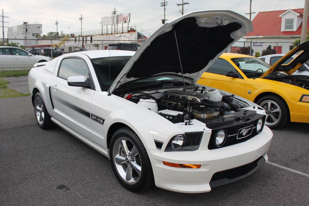 2010 Shredd & Ragan Cruise Night: Image 8