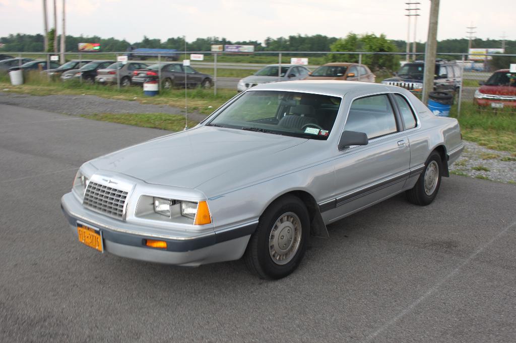 2011 Shredd & Ragan Cruise Night: Image 12