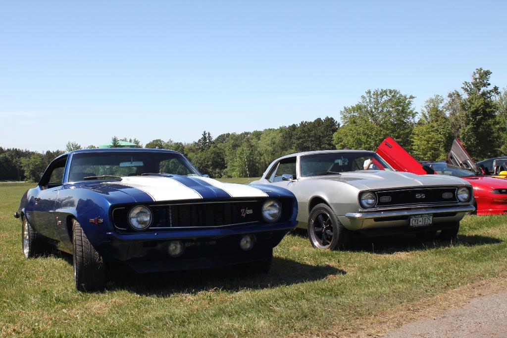 2010 WNY FBody Spring Cookout: Image 1