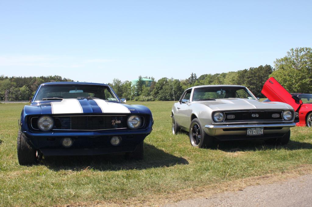 2010 WNY FBody Spring Cookout: Image 12