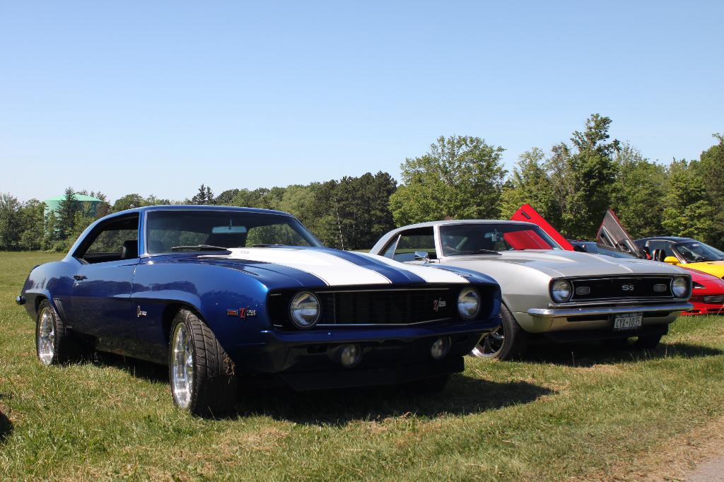 2010 WNY FBody Spring Cookout: Image 2