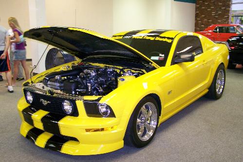 2007 WNY Mustang Club's All Mustang Car Show: Image 1