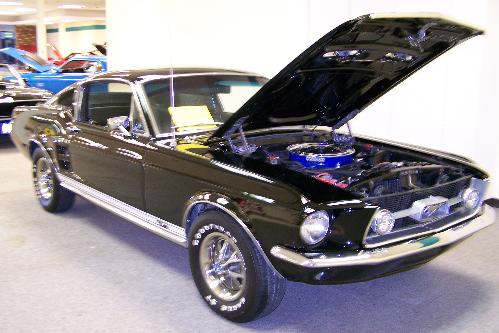 2007 WNY Mustang Club's All Mustang Car Show: Image 7